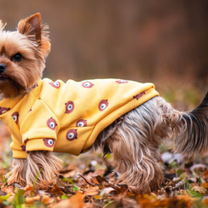 Vsepropejska Wapi hebká mikina pro psa Barva: Hnědo-žlutá, Délka zad (cm): 21, Obvod hrudníku: 28 – 30 cm