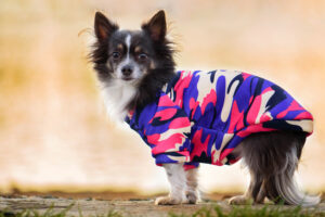 Vsepropejska Wapi hebká mikina pro psa Barva: Maskáčová, Délka zad (cm): 26, Obvod hrudníku: 32 - 36 cm