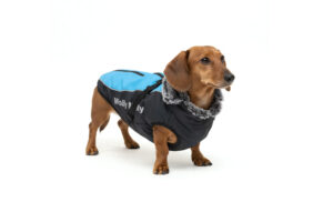 Vsepropejska Mansi zimní bunda pro psa s postrojem Barva: Modrá, Délka zad (cm): 39 - 42, Obvod hrudníku: 44 - 50 cm