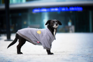 Vsepropejska Liči zateplený svetr pro psa Barva: Šedá, Délka zad (cm): 24, Obvod hrudníku: 30 - 34 cm