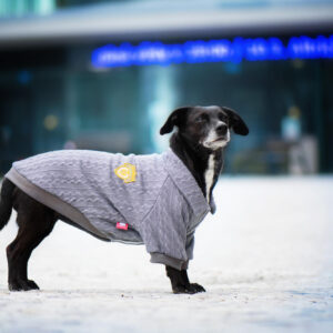 Vsepropejska Liči zateplený svetr pro psa Barva: Šedá, Délka zad (cm): 24, Obvod hrudníku: 30 – 34 cm