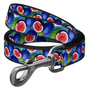 WAUDOG vodítko nylon Fíky  (M/122cm/2cm)