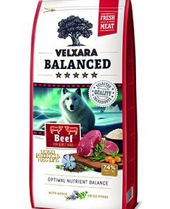 Vapasko, s.r.o. Velxara Balanced FM Dog Adult Monoprot.Beef&Rice 750g