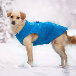 Vsepropejska Lonato fleecová mikina pro psa na ZIP Barva: Modrá, Délka zad (cm): 30, Obvod hrudníku: 44 – 48 cm