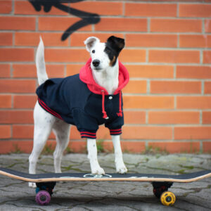 Vsepropejska Cailan mikina pro psa Barva: Černá, Délka zad (cm): 35, Obvod hrudníku: 50 – 54 cm