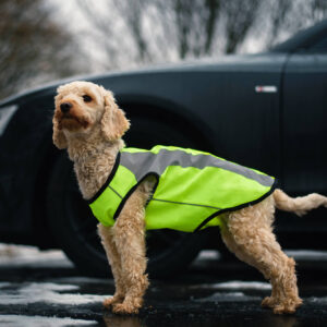Vsepropejska Tocho reflexní vesta pro psa Barva: Žlutá, Délka zad (cm): 24, Obvod hrudníku: 30 – 34 cm