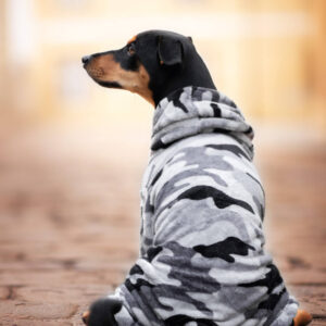 Vsepropejska Azmik fleecová kombinéza pro psa Barva: Šedá, Délka zad (cm): 36, Obvod hrudníku: 42 – 46 cm