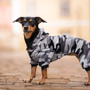 Vsepropejska Azmik fleecová kombinéza pro psa Barva: Šedá, Délka zad (cm): 40, Obvod hrudníku: 46 – 50 cm