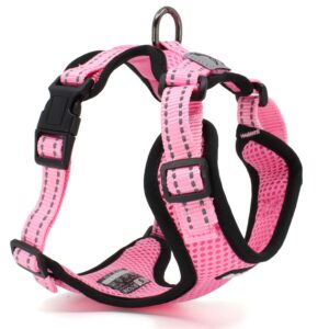 Vsepropejska Serg postroj s prodyšným povrchem pro psa | 28 – 78 cm Barva: Růžová, Obvod hrudníku: 50 – 78 cm