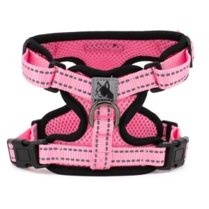 Vsepropejska Serg postroj s prodyšným povrchem pro psa | 28 – 78 cm Barva: Růžová, Obvod hrudníku: 43 – 70 cm