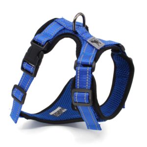 Vsepropejska Serg postroj s prodyšným povrchem pro psa | 28 – 78 cm Barva: Tmavě modrá, Obvod hrudníku: 28 – 38 cm