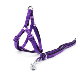 Vsepropejska Fugas postroj pro psa s vodítkem Barva: Fialová, Obvod hrudníku: 30 – 45 cm