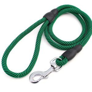 Nylonové vodítko pro psa | 128 cm Barva: Zelená, Šířka vodítka: 1 cm