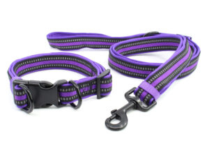 Vsepropejska Cubo obojek pro psa s vodítkem | 32 – 56 cm Barva: Fialová, Obvod krku: 34 - 56 cm, Šířka: 2,5 cm