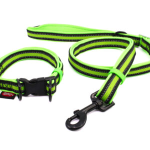 Vsepropejska Cubo obojek pro psa s vodítkem | 32 – 56 cm Barva: Zelená, Obvod krku: 34 – 56 cm, Šířka: 2,5 cm