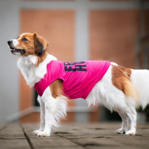 Vsepropejska Zala letní tričko pro psa Barva: Růžová, Délka zad (cm): 18, Obvod hrudníku: 24 – 28 cm