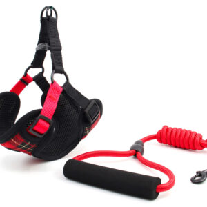 Vsepropejska Cruel postroj pro psa s vodítkem | 31 – 55 cm Barva: Červená, Obvod hrudníku: 31 – 45 cm