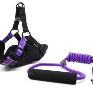 Vsepropejska Cruel postroj pro psa s vodítkem | 31 – 55 cm Barva: Fialová, Obvod hrudníku: 31 – 45 cm