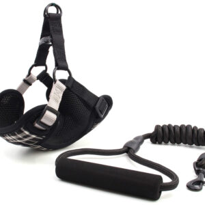 Vsepropejska Cruel postroj pro psa s vodítkem | 31 – 55 cm Barva: Černá, Obvod hrudníku: 37 – 55 cm