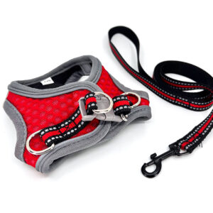 Vsepropejska Cyr postroj pro psa s vodítkem Barva: Červená, Obvod hrudníku: 30 – 34 cm
