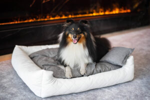 Vsepropejska Delux kožený pelech pro psa s polštářkem Barva: Bílá, Rozměr (cm): 110 x 90