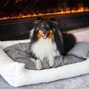 Vsepropejska Delux kožený pelech pro psa s polštářkem Barva: Bílá, Rozměr (cm): 110 x 90