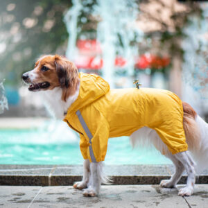 Vsepropejska Zizi pláštěnka pro psa Barva: Žlutá, Délka zad (cm): 37, Obvod hrudníku: 45 – 51 cm