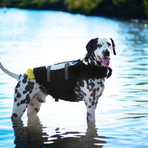 Vsepropejska Flava plovací vesta pro psa Barva: Černá, Délka zad (cm): 30, Obvod hrudníku: 44 – 51 cm