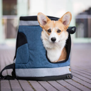 Path sportovní batoh pro psa | do 6 Kg Barva: Modrá, Dle váhy psa: do 6 kg