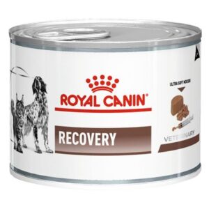 Royal Canin Konz. Recovery - 195g
