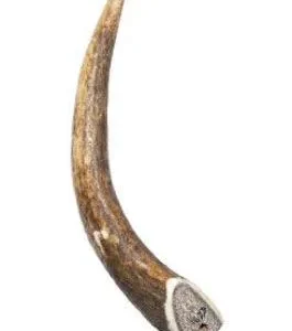 Pochoutka Jelení paroží 40-70g