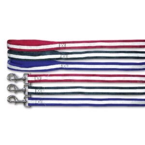 Nylonové reflexní vodítko pro psy City style L, 2,5 x 120cm, různé barvy - vodítka pro psy