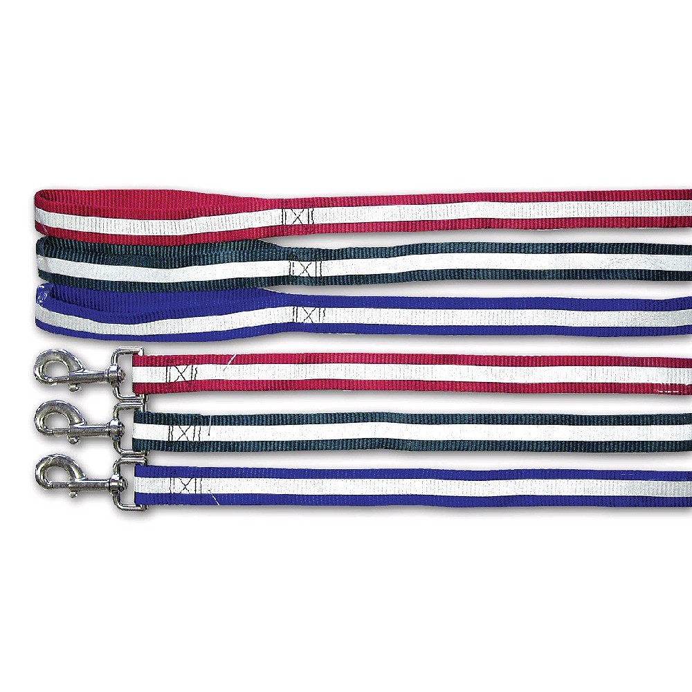 Nylonové reflexní vodítko pro psy City style L, 2,5 x 120cm, různé barvy - vodítka pro psy Nylonové reflexní vodítko pro psy City style L, 2,5 x 120cm, různé barvy - vodítka pro psy