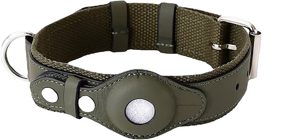 Petify Kožený obojek pro psa Buddy s pouzdrem na AirTag zelený Velikost: S Petify Kožený obojek pro psa Buddy s pouzdrem na AirTag zelený Velikost: S