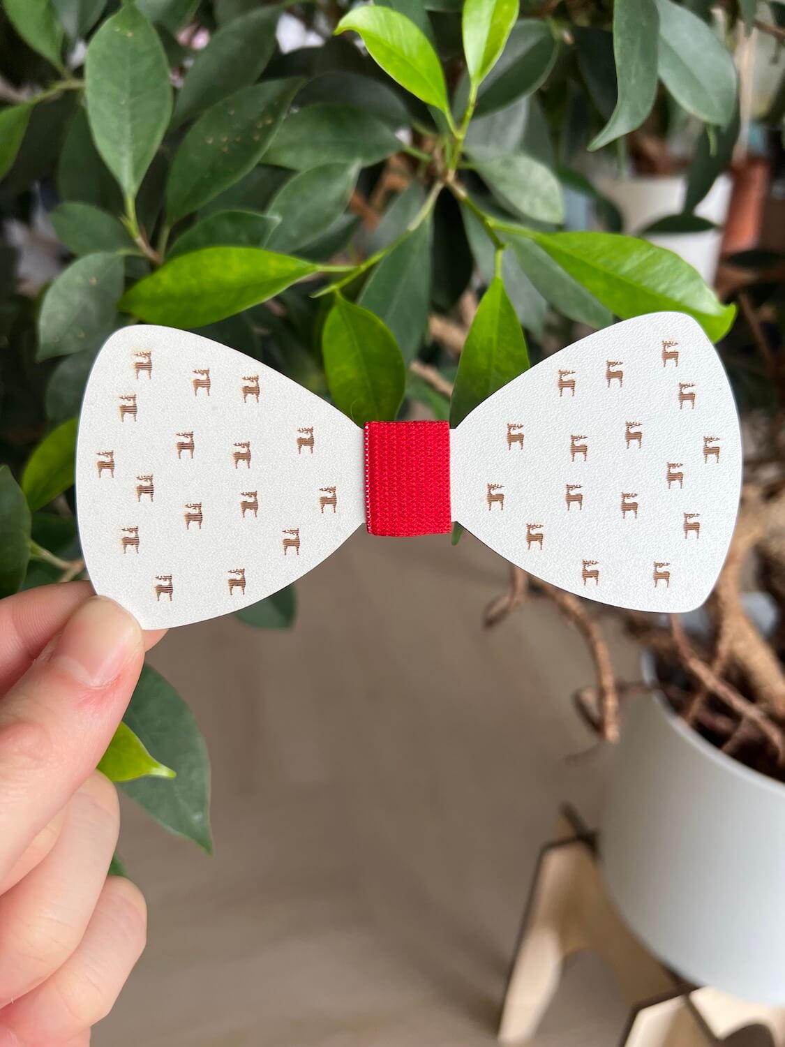 Vsepropejska Vánoční motýlek pro psa na obojek Rozměr (cm): 12, Typ: Motýlek 5 Vsepropejska Vánoční motýlek pro psa na obojek Rozměr (cm): 12, Typ: Motýlek 5