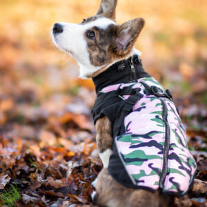 Vsepropejska Pinta zimní bunda pro psa s postrojem Barva: Růžová, Délka zad (cm): 30, Obvod hrudníku: 36 – 40 cm