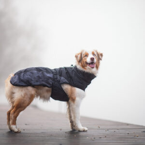 Vsepropejska Rosko zateplená bunda pro psa Barva: Černá, Délka zad (cm): 53, Obvod hrudníku: 68 – 72 cm