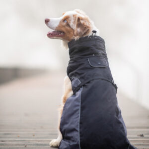 Vsepropejska Rosko zateplená bunda pro psa Barva: Černá, Délka zad (cm): 43, Obvod hrudníku: 60 – 64 cm