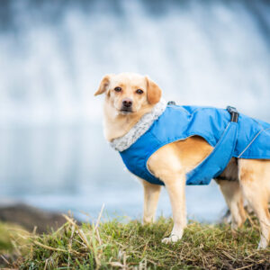 Vsepropejska Furila bunda pro psa s kožíškem Barva: Modrá, Délka zad (cm): 43, Obvod hrudníku: 58 – 68 cm