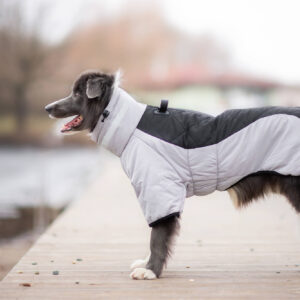 Vsepropejska Plex zimní bunda pro psa Barva: Černá, Délka zad (cm): 52, Obvod hrudníku: 58 – 62 cm