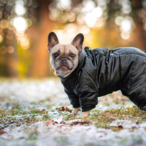 Vsepropejska Toshi teplá kombinéza s postrojem Barva: Černá, Délka zad (cm): 28, Obvod hrudníku: 44 – 50 cm