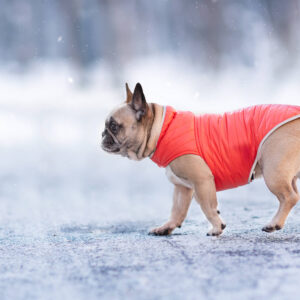 Vsepropejska Sonda oboustranný obleček pro psa Barva: Oranžovo-hnědá, Délka zad (cm): 25, Obvod hrudníku: 32 – 44 cm