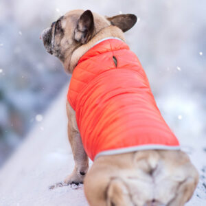 Vsepropejska Sonda oboustranný obleček pro psa Barva: Oranžovo-hnědá, Délka zad (cm): 23, Obvod hrudníku: 26 – 38 cm