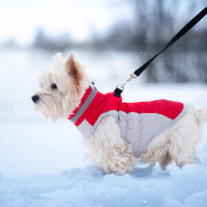 Vsepropejska Tremy zimní bunda pro psa s kroužky Barva: Červená, Délka zad (cm): 39, Obvod hrudníku: 48 – 52 cm