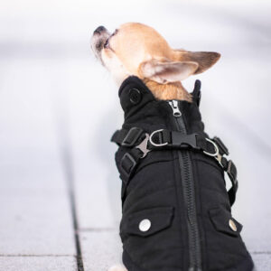 Vsepropejska Tulsi zimní bunda pro psa s postrojem Barva: Černá, Délka zad (cm): 29, Obvod hrudníku: 38 – 42 cm