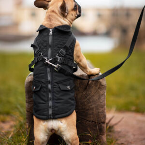 Vsepropejska Tulsi zimní bunda pro psa s postrojem Barva: Černá, Délka zad (cm): 25, Obvod hrudníku: 32 – 36 cm