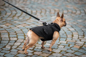 Vsepropejska Tulsi zimní bunda pro psa s postrojem Barva: Černá, Délka zad (cm): 41, Obvod hrudníku: 52 - 56 cm