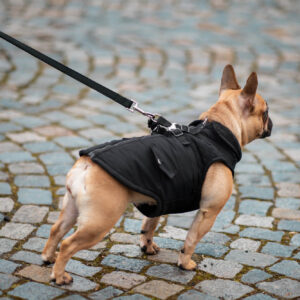 Vsepropejska Tulsi zimní bunda pro psa s postrojem Barva: Černá, Délka zad (cm): 41, Obvod hrudníku: 52 – 56 cm