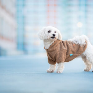 Vsepropejska Simon mikina pro psa s kapucí Barva: Béžová, Délka zad (cm): 34, Obvod hrudníku: 44 – 48 cm