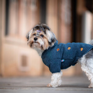 Vsepropejska Simon mikina pro psa s kapucí Barva: Modrá, Délka zad (cm): 18, Obvod hrudníku: 34 – 36 cm